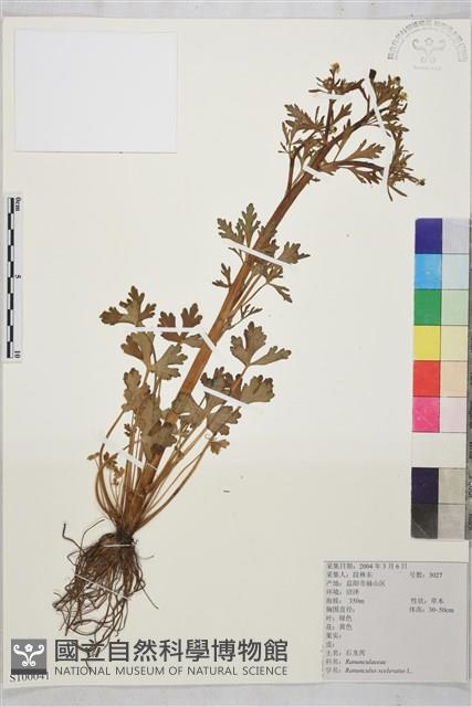 Accession Number:S100041 Collection Image