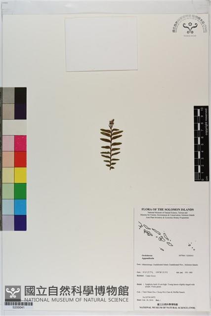 登錄號:S200041藏品圖，第1張