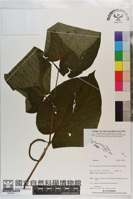登錄號:S203441藏品圖，第1張