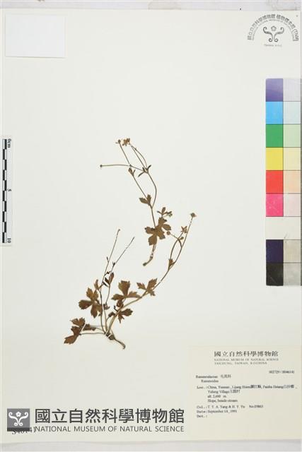 登錄號:S046141藏品圖，第1張