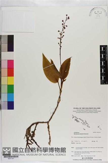 登錄號:S201141藏品圖，第1張