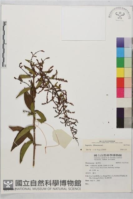 登錄號:S137141藏品圖，第1張