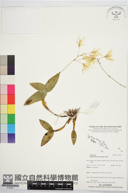 登錄號:S195841藏品圖，第1張