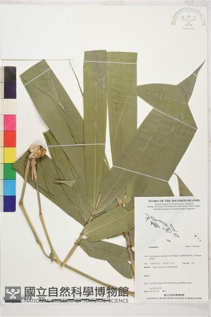 登錄號:S207841藏品圖，第1張