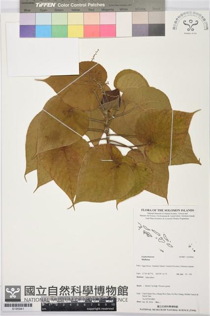 登錄號:S195941藏品圖，第1張