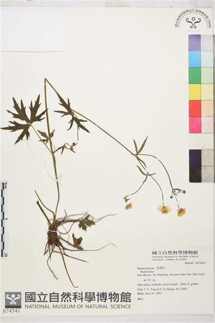 登錄號:S074541藏品圖，第1張