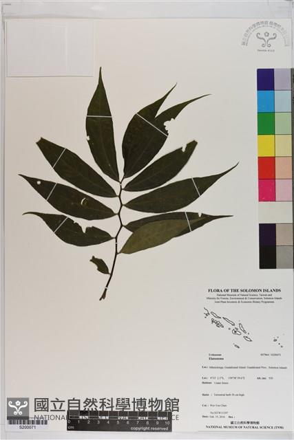 登錄號:S200071藏品圖，第1張