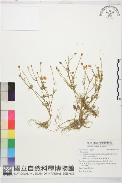 登錄號:S116771藏品圖，第1張