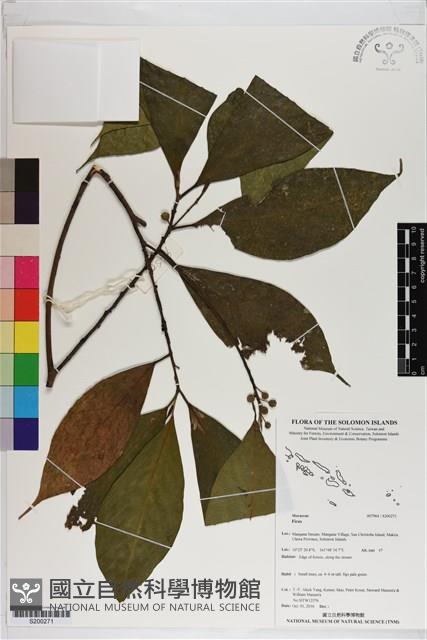 登錄號:S200271藏品圖，第1張