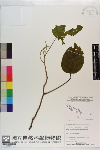 登錄號:S201271藏品圖，第1張