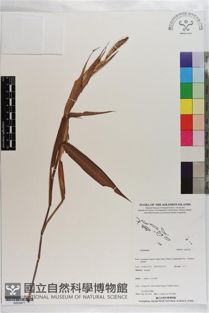 登錄號:S203471藏品圖，第1張