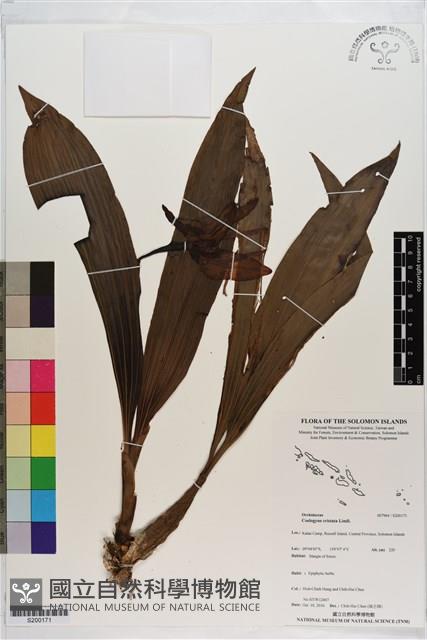 登錄號:S200171藏品圖，第1張