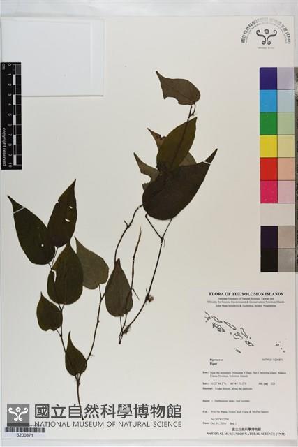 登錄號:S200871藏品圖，第1張