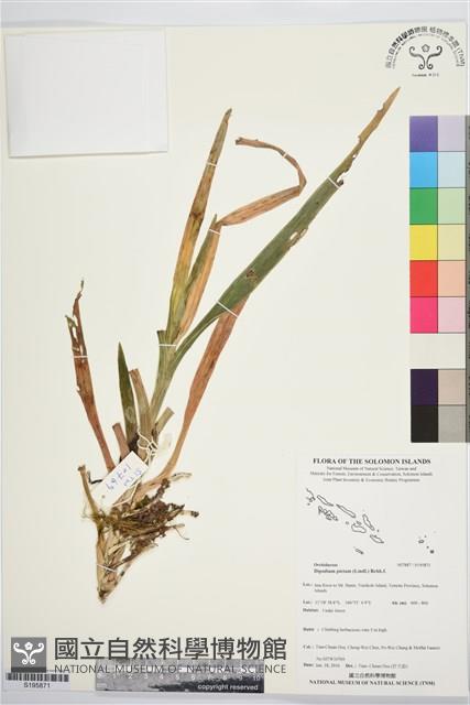 登錄號:S195871藏品圖，第1張