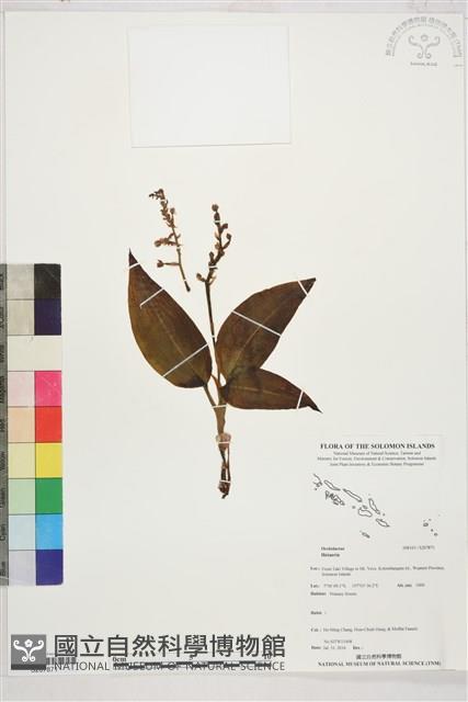 登錄號:S207871藏品圖，第1張