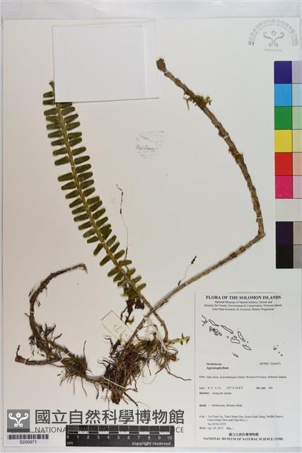 登錄號:S200971藏品圖，第1張