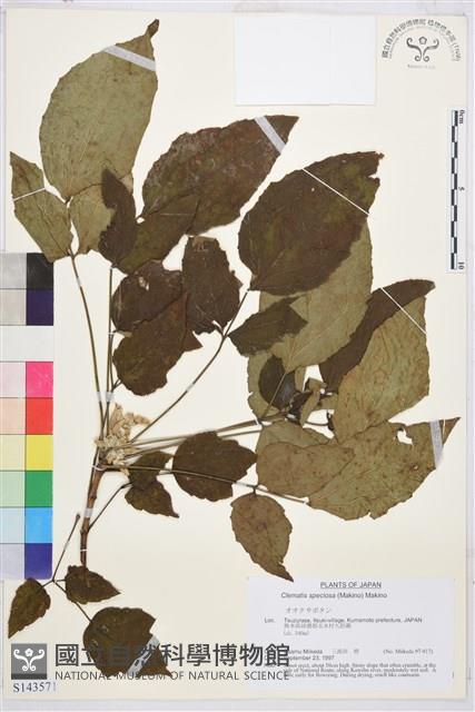 登錄號:S143571藏品圖，第1張