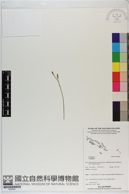 登錄號:S200081藏品圖，第1張