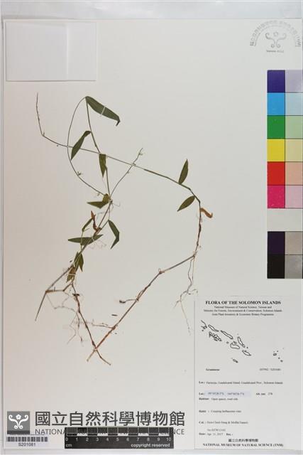 登錄號:S201081藏品圖，第1張