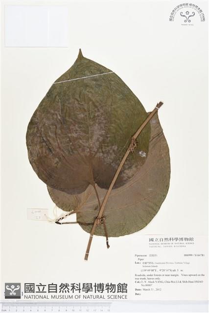 登錄號:S164781藏品圖，第1張