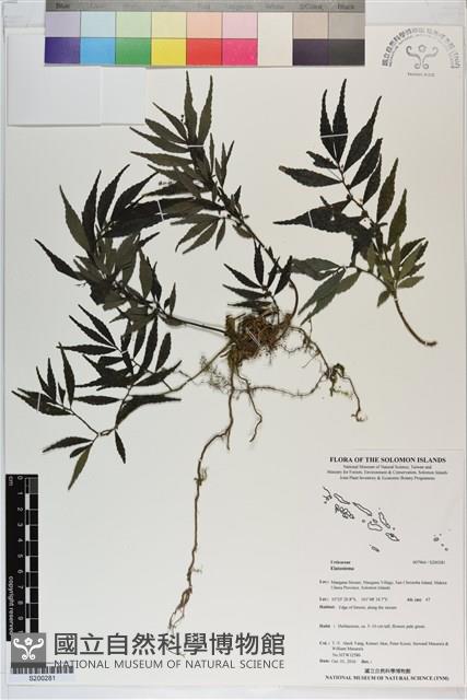 登錄號:S200281藏品圖，第1張