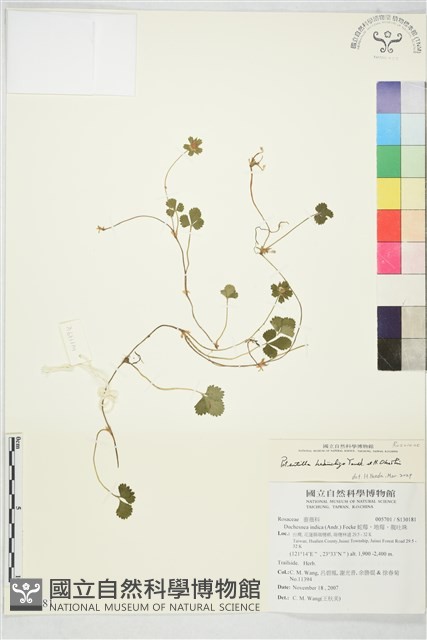 登錄號:S130181藏品圖，第1張