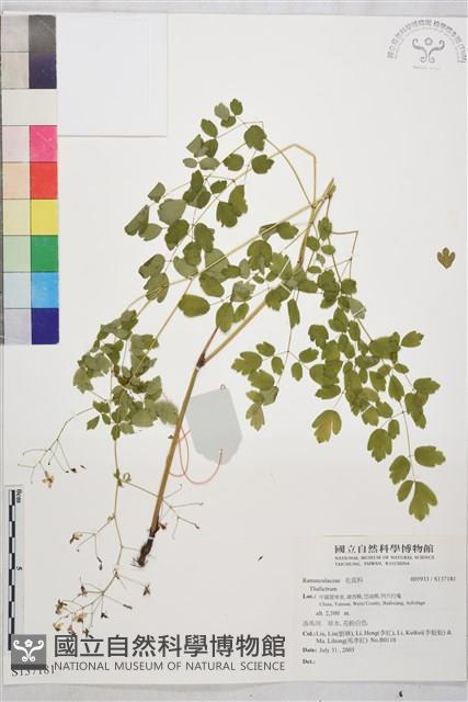 登錄號:S137181藏品圖，第1張