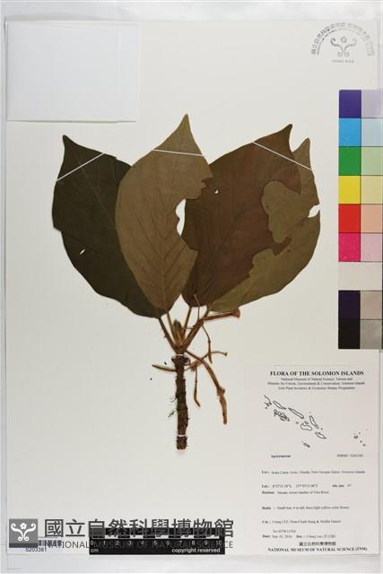 登錄號:S203381藏品圖，第1張