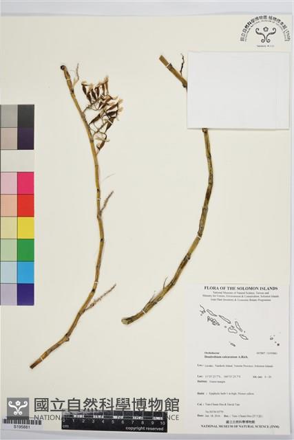 登錄號:S195881藏品圖，第1張