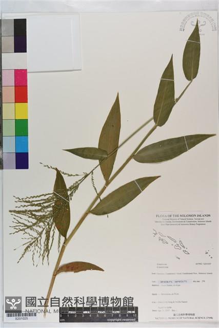 登錄號:S201025藏品圖，第1張