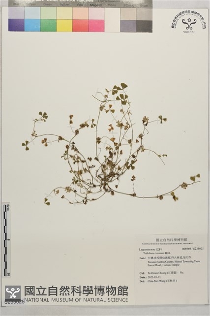 登錄號:S235025藏品圖，第1張