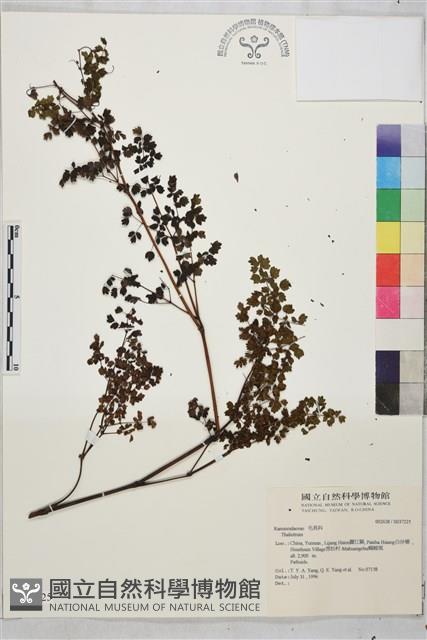 登錄號:S037225藏品圖，第1張