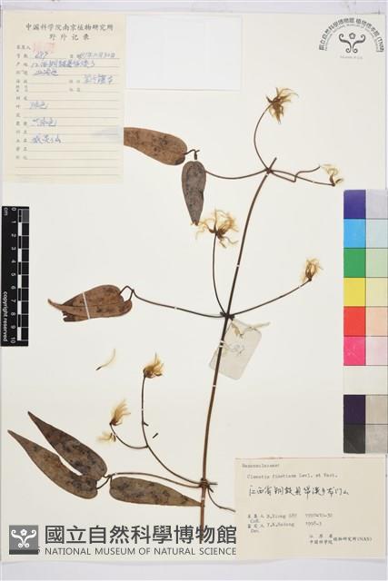 山木通藏品圖，第1張