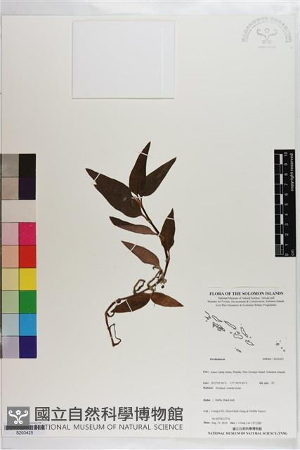 登錄號:S203425藏品圖，第1張