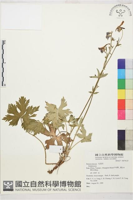 登錄號:S074125藏品圖，第1張