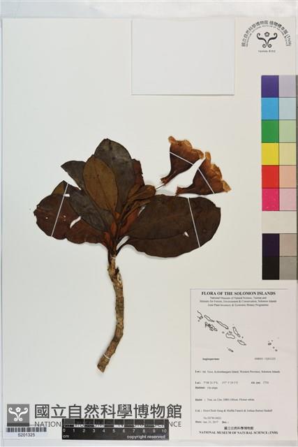 登錄號:S201325藏品圖，第1張