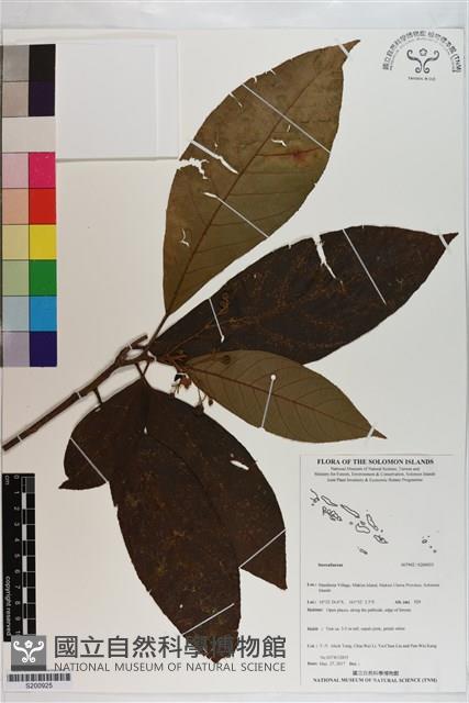 登錄號:S200925藏品圖，第1張