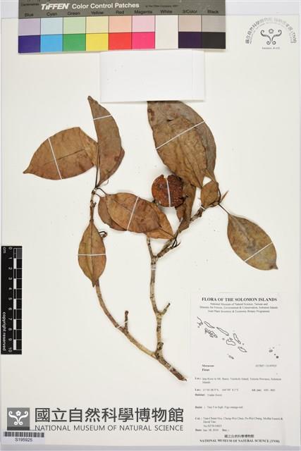 登錄號:S195925藏品圖，第1張