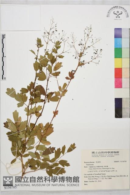 登錄號:S156705藏品圖，第1張