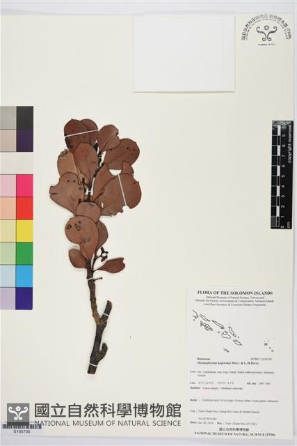 登錄號:S195705藏品圖，第1張