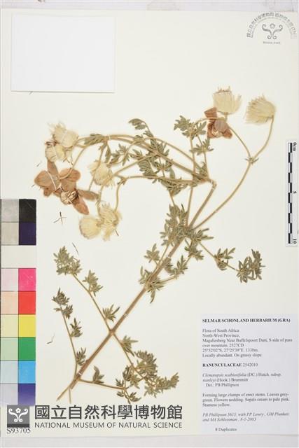 登錄號:S093705藏品圖，第1張