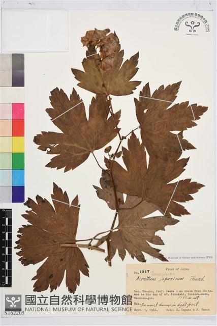 登錄號:S162205藏品圖，第1張