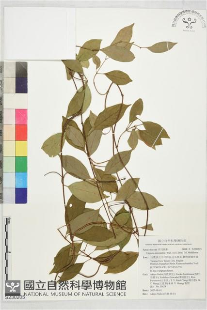 登錄號:S230205藏品圖，第1張