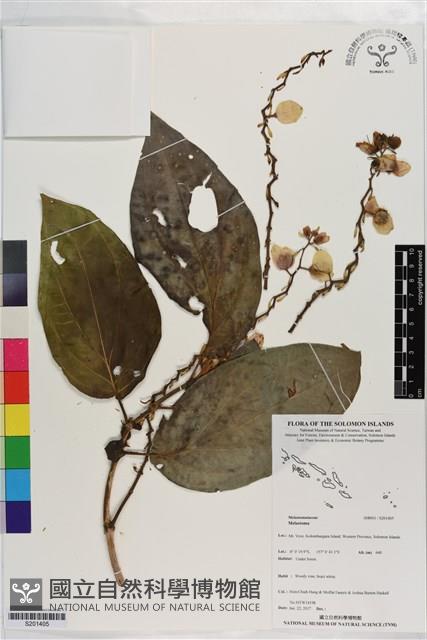 登錄號:S201405藏品圖，第1張