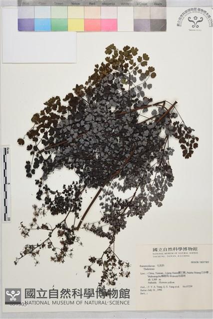 登錄號:S037305藏品圖，第1張