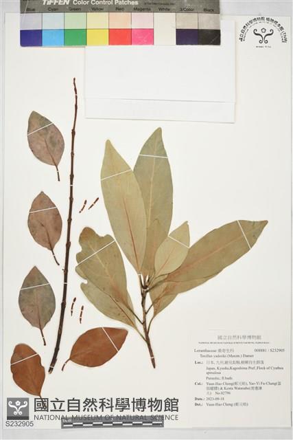 登錄號:S232905藏品圖，第1張
