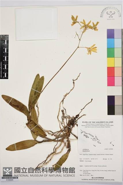 登錄號:S195905藏品圖，第1張