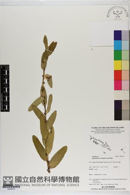 登錄號:S200015藏品圖，第1張