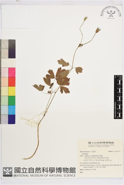 登錄號:S156715藏品圖，第1張