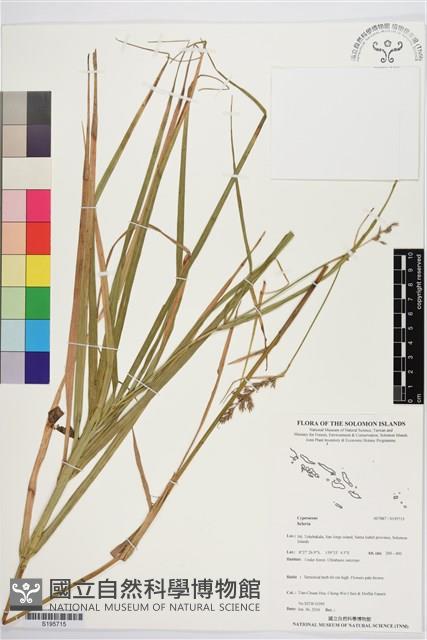 登錄號:S195715藏品圖，第1張